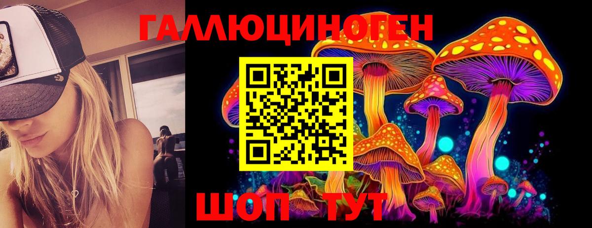 Мирный  Галлюциногенные грибы Psilocybine cubensis  Галлюциногенные грибы прущие грибы  Вход с VPN 